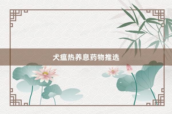 犬瘟热养息药物推选
