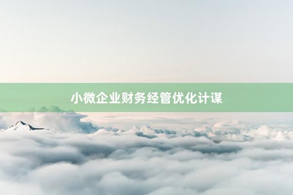 小微企业财务经管优化计谋